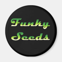 Round Magnet