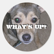 Round Stickers