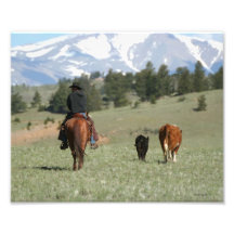 Rounding Up Strays Photo