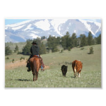 Rounding Up Strays Photo Print
