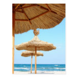 Row-of-beach-umbrellas BEACH GRASS UMBRELLAS OCEAN Postcard