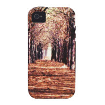 Row of Pine Trees in Forest Case For The iPhone 4