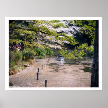 Rowboat in Sakura Petals Poster