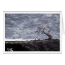 Rowboats and Oak Cards
