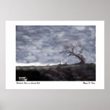 Rowboats and Oak Print