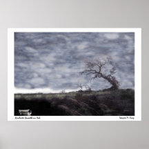 Rowboats Beneath an Oak Poster