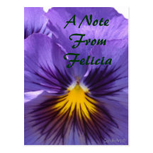 Royal Blue Pansy Postcards