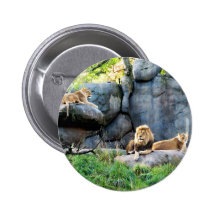 Royal Family Pinback Button