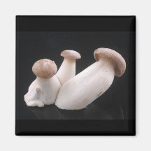 Royal Trumpet Mushroom Magnet