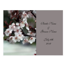 RSVP, response card, plum flowers Postcard