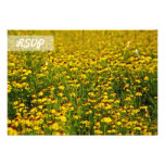 RSVP Sunflower Photo on Black Cards invitations