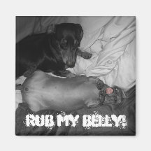 Rub my belly! refrigerator magnet