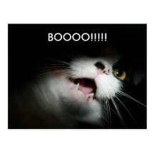 Rude Cat Custom and Sayings Postcard