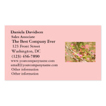 Rufous Hummingbird and Flowers business cards