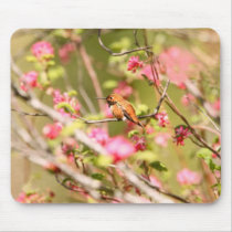Rufous Hummingbird and Flowers mousepads