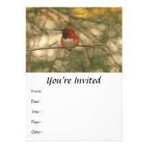 Rufous Hummingbird Sitting Personalized Invitations