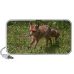 Running fox iPhone speaker