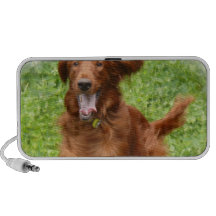 Running Irish Setter Speakers