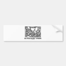 Runologist Inside (Educated In Runelore) Bumper Stickers