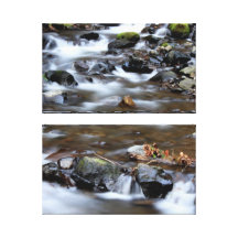 Rushing Oregon Creek Nature Art Wrapped Canvas Gallery Wrapped Canvas