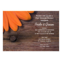 Rustic Daisy Post Wedding Brunch Invitation