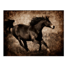 Rustic Sepia Galloping Horse Postcard
