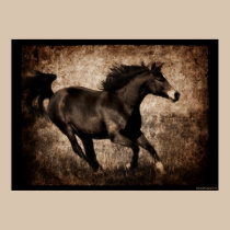 Rustic Sepia Galloping Horse posters
