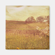 Rustic Vineyard in Napa Valley California Magnet