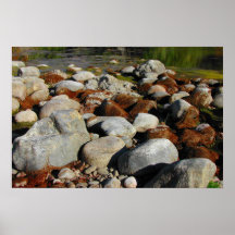 Rusy Moss Print