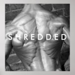 S H R E D D E D Poster