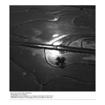Sacramento Valley, Rice Fields, by Ansel Adams posters