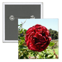 Sad Red Rose Button