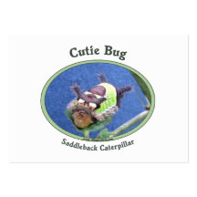 Saddleback Caterpillar Cutie Bug Business Cards