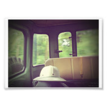 Safari Photograph