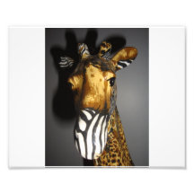 Safari Photographic Print