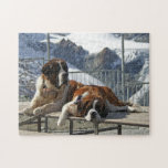 Saint Bernard Puzzle