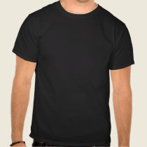 Saint Patrick's Day Boston T-Shirt t-shirts