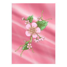 Sakura Blossoms Announcement