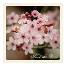 Sakura • Save the Date Announcement