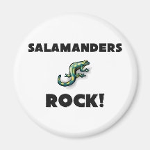 Salamanders Rock Magnet
