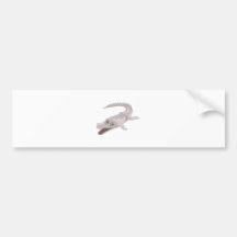 Saltwater Crocodile Bumper Sticker