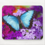 Sammamish Washington Tropical Butterfly 7 Mousepads