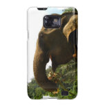 Samsung Galaxy Case - Customised