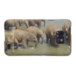 Samsung Galaxy Case - Customised