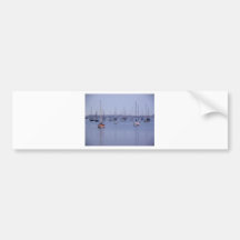 San Diego Bay Sailboats Bumper Sticker