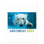 San Diego Zoo Polar Bear Postcards