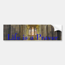 Sanctuary Bumper Stickers