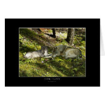 SANCTUARY Greeting or Note Card