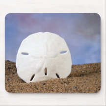 sand dollar mouse pads