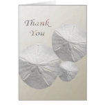 Sand Dollar Thank you Cards